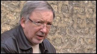 Sangliers, renards, fouines : ils envahissent nos villes !
