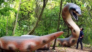 Documentaire Titanoboa : le serpent géant disparu