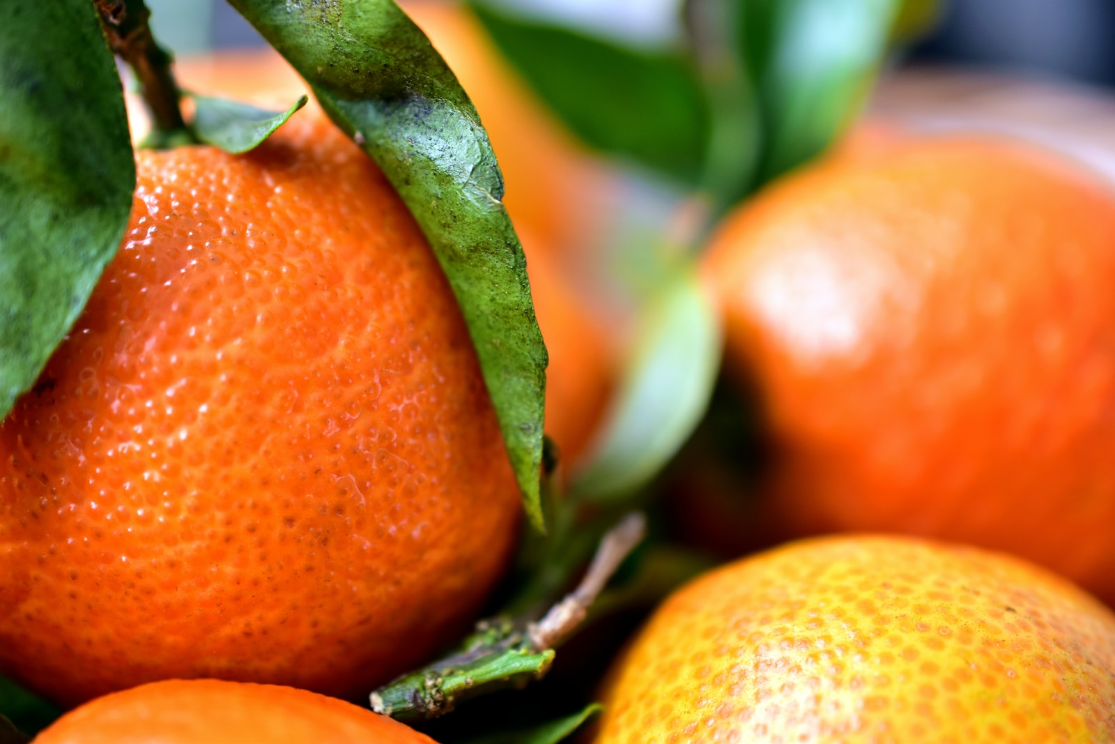 Les aliments anti-cellulites