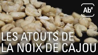 Documentaire La noix de cajou, l’atout des régimes véganes