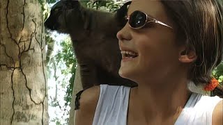 À Mayotte, on pratique le safari aquatique