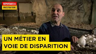 À fond sur le champignon