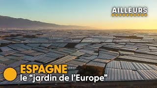 Andalousie : au cœur de l'usine de légumes de l'Europe !