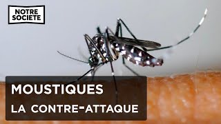 Documentaire Anti-moustiques : guerre d’un nouveau genre