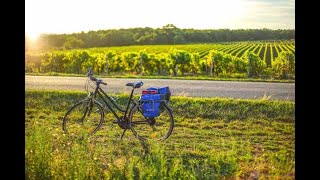 Charente -  La Flow vélo, balades de la source à la forêt