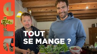 Carbon farming : l’agriculture du carbone