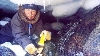 Cet Inuit risque sa vie pour quelques moules !