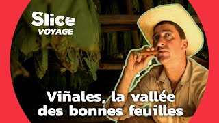 Cuba : l'art centenaire du cigare