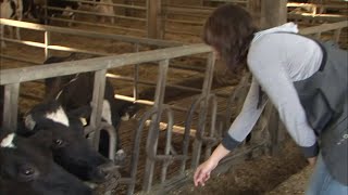 Documentaire Des étudiants logés à la ferme