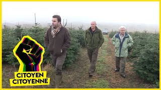 Documentaire Des sapins à perte de vue dopés au glyphosate