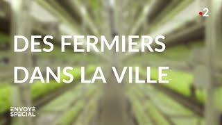 Documentaire Des fermiers dans la ville