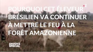 Pourquoi cet éleveur va continuer à mettre le feu à la forêt amazonienne