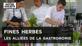 Fines herbes et grands secrets