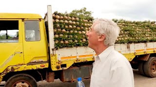 Il fait fortune en exportant les fruits du Ghana