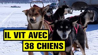 Il vit et gagne sa vie avec ses 38 chiens !