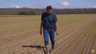 Documentaire La culture raisonnée de notre chère salade