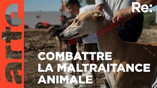 Documentaire La protection des animaux en Espagne