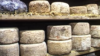 Documentaire La tome de Savoie, le fromage aux mille recettes