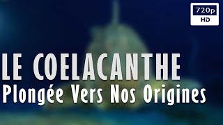 Documentaire Le coelacanthe : plongée vers nos origines