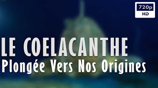 Le coelacanthe : plongée vers nos origines
