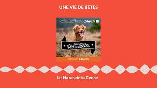 Le Haras de la Cense