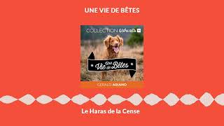 Documentaire Le Haras de la Cense