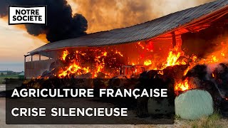 Le combat silencieux des agriculteurs français