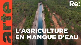 Le potager de l'Europe en danger