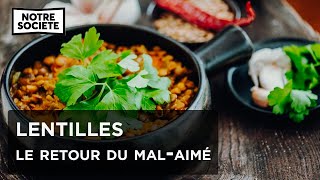 Lentilles, une mine d'or dans nos assiettes