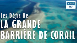 Documentaire Les défis de la grande barrière de corail