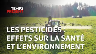 Les effets des pesticides sur la santé et l'environnement