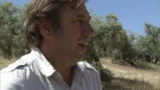 Documentaire Les oliviers, la dernière tendance pour un jardin branché