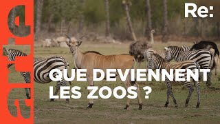 Documentaire Les zoos de demain