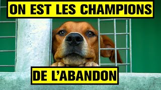 Nous sommes les champions de l'abandon des animaux