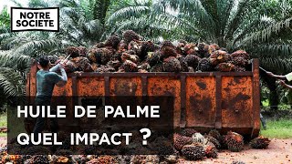 Documentaire Palme, une huile qui fait tâche