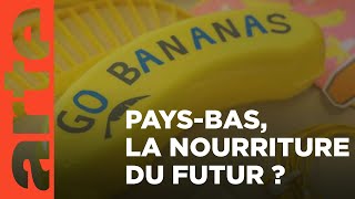 Pays Bas, les sorciers de nos assiettes ?