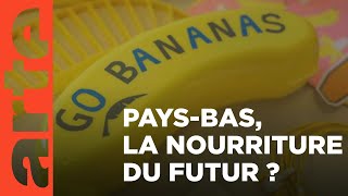 Documentaire Pays Bas, les sorciers de nos assiettes ?