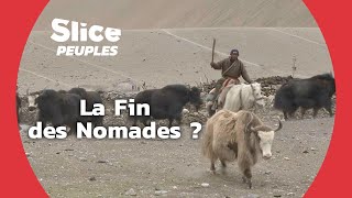 Pourquoi les nomades des himalayas quittent la montagne