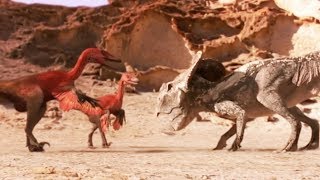 Documentaire Protoceratops VS velociraptors