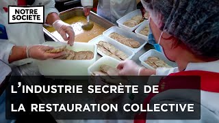 Documentaire Que nous servent vraiment les cantines scolaires et d’entreprises ?