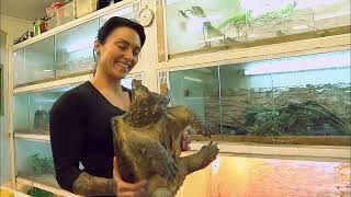 Sa maison est un refuge pour reptiles