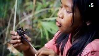 Documentaire Un enfant attrape une mygale pour la manger !