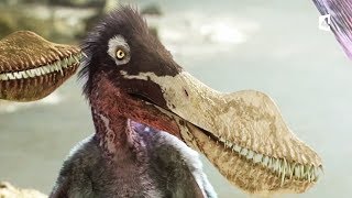 Documentaire Un petit ptérosaure apprend à voler (anhanguera)