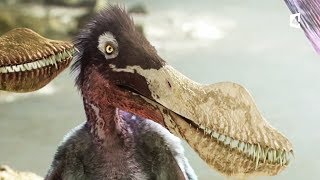 Un petit ptérosaure apprend à voler (anhanguera)