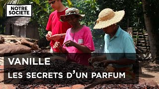 Documentaire Vanille, les secrets de fabrication d’un parfum