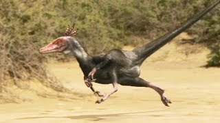 Documentaire Vélociraptor : la machine de guerre