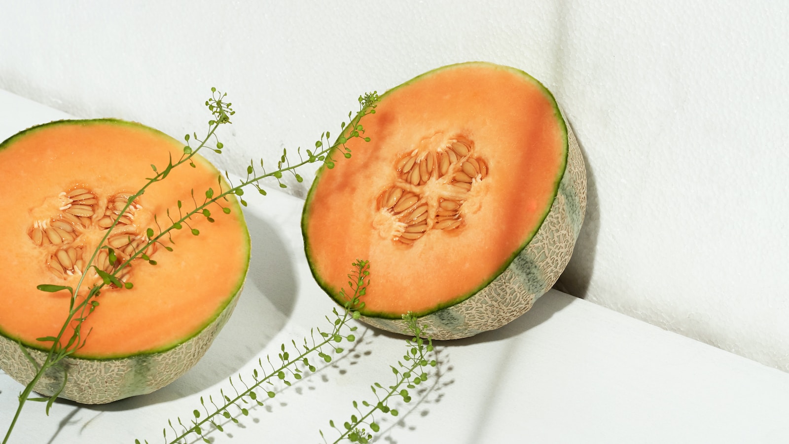 Le melon, un fruit estival aux multiples variétés