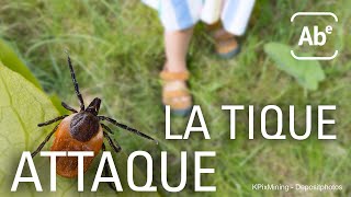 Comment se protéger contre les piqûres de tiques ?