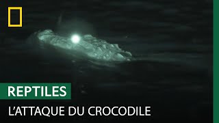 Documentaire À la tombée de la nuit, les crocodiles se mettent en chasse
