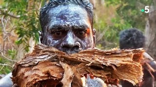 Aborigènes : la danse du crocodile fait un peu peur